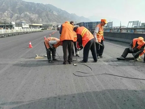 陆川道路桥梁病害治理